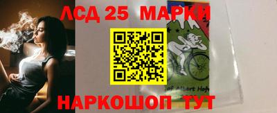 крисы Новодвинск