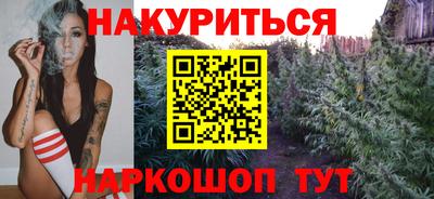 крисы Новодвинск