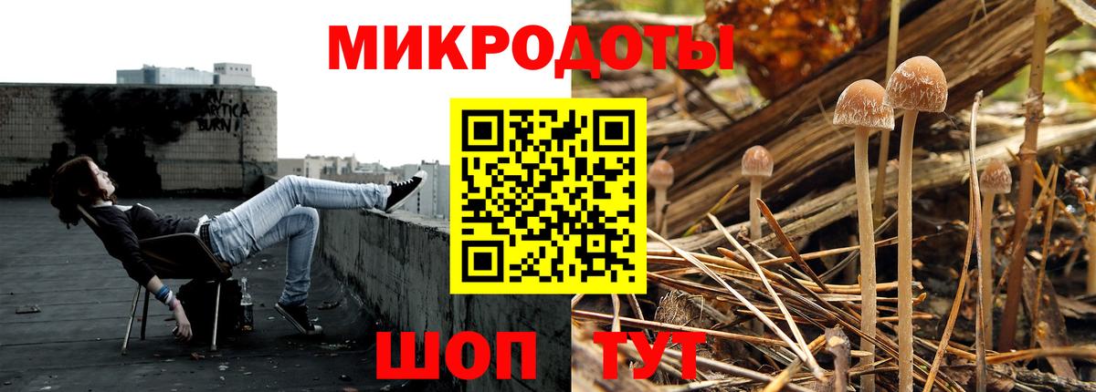 Псилоцибиновые грибы Magic Shrooms  Вход с VPN  где найти наркотики  Соль-Илецк 
